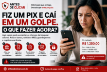 fiz um pix