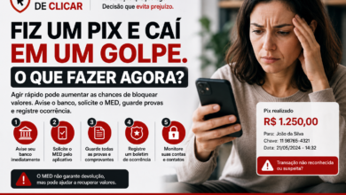 fiz um pix
